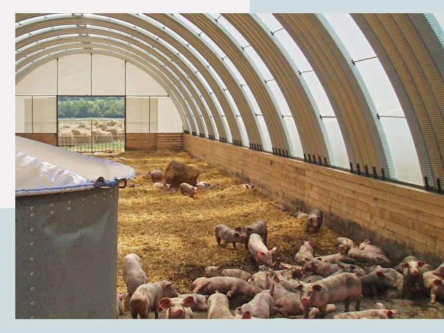 Строительство свинарников в Комсомольске-на-Амуре